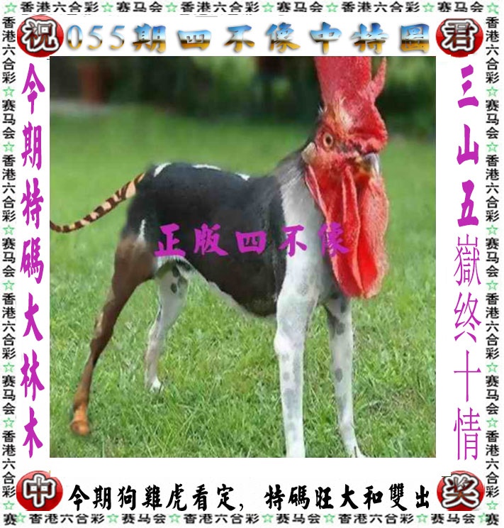 四不像中特图